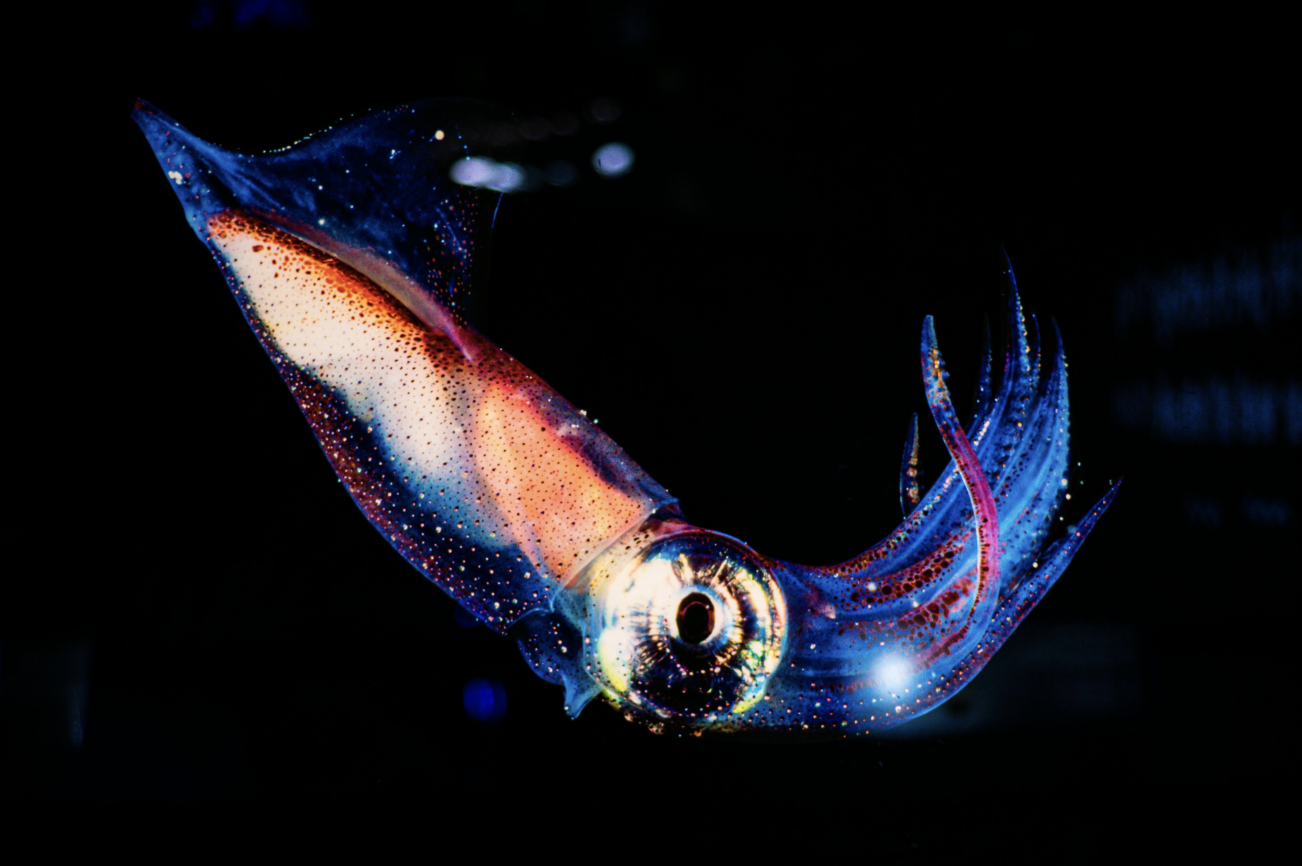 Impagination October 2025 Newsletter